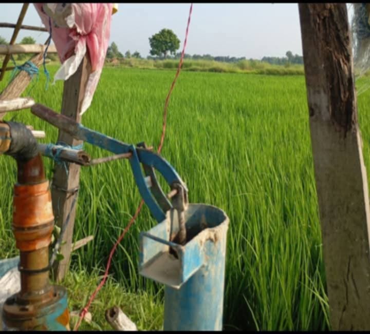 किसान चिन्तित” उजुरी दिदा पनि संबन्धीत निकाय मौन