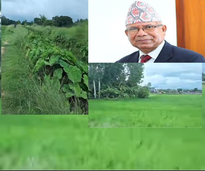 सुख्खा खडेरी तथा बाढ रहदा राहत मै निर्भर बनाउने मुख्य माधव नेपाल :- बबन सिंह